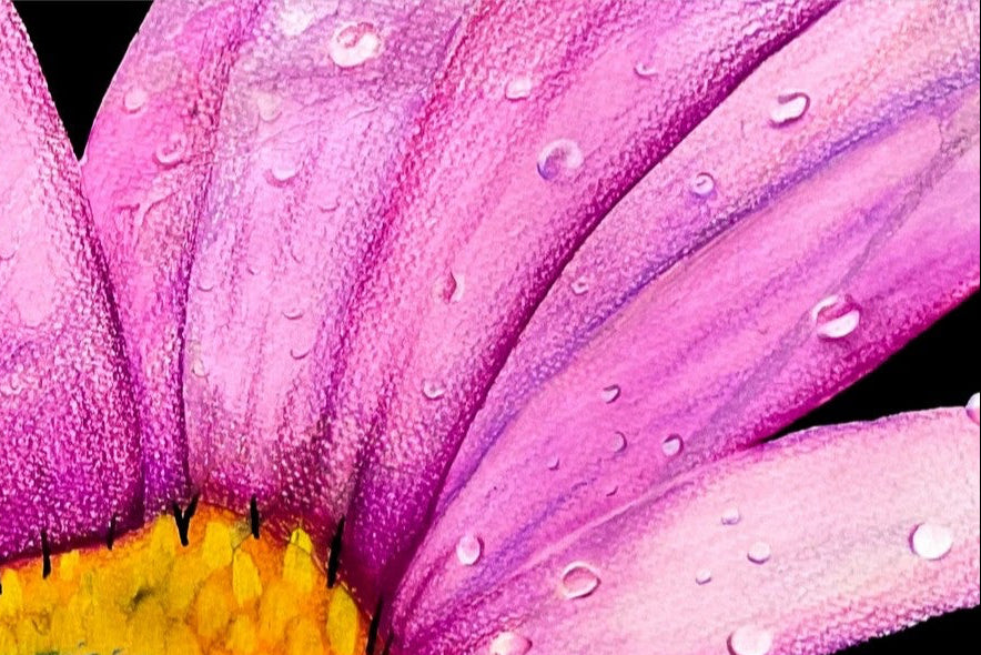 Flower PRINT
