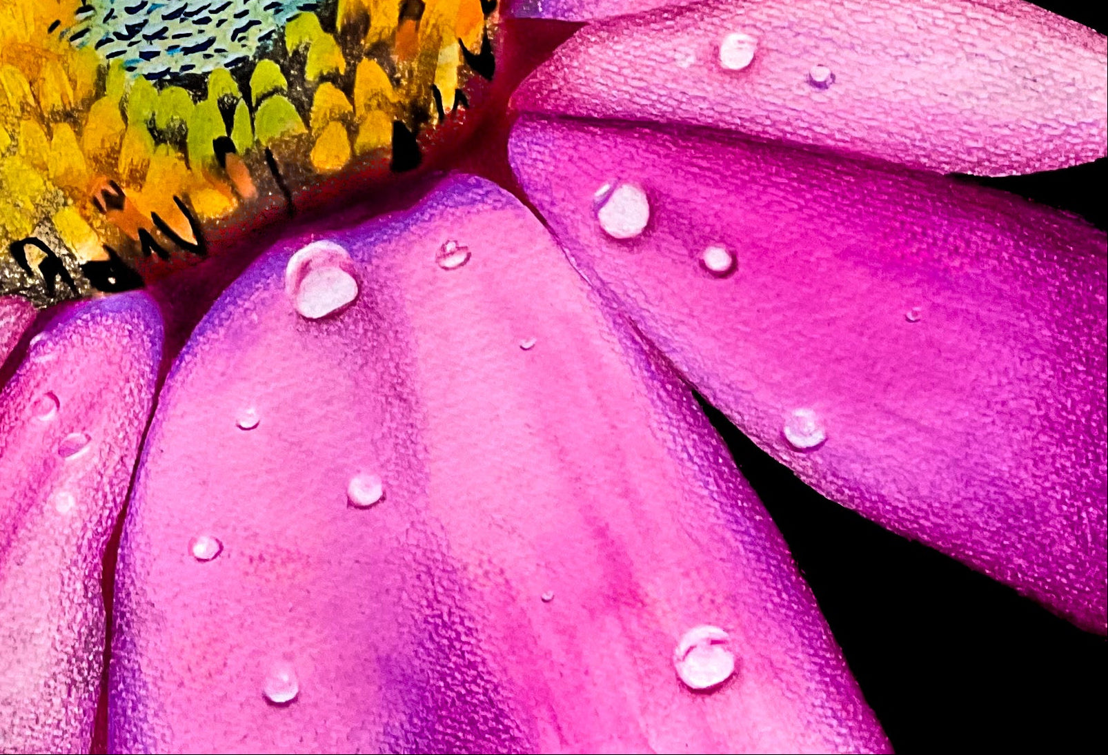 Flower PRINT